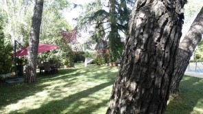 Jardín